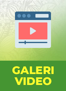 galery video