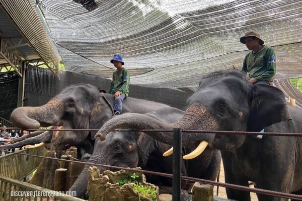 Kenyir Elephant Cultural Village
